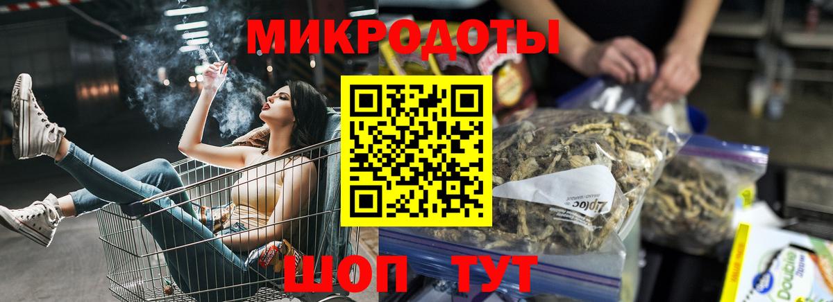 Псилоцибиновые грибы Psilocybe Владимир