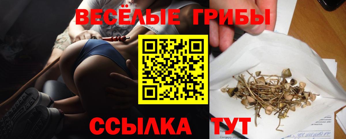 Псилоцибиновые грибы Psilocybine cubensis  Псилоцибиновые грибы мухоморы  Вход с VPN  Владимир 